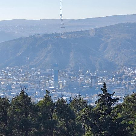 Уиут Ниниа Сад Apartment Tbilisi Ngoại thất bức ảnh